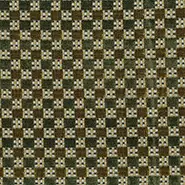 Theodora (NCF4571-04)